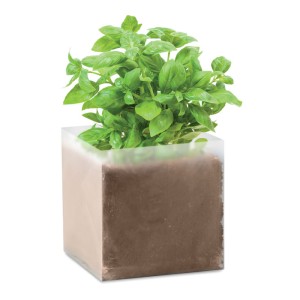 Εταιρικα Δωρα - Basil Plant Axiom the Giftmakers  - axiom-gifts.gr