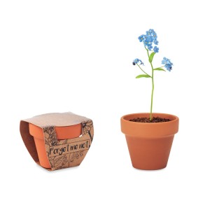 Forget me not Plant Axiom the Giftmakers  - axiom-gifts.gr